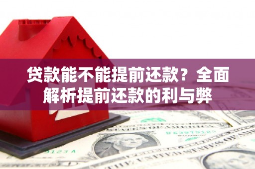 洪湖贷款能不能提前还款？全面解析提前还款的利与弊