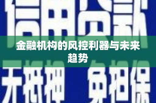 洪湖金融机构的风控利器与未来趋势