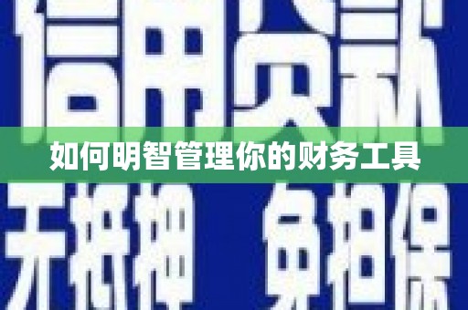 洪湖如何明智管理你的财务工具