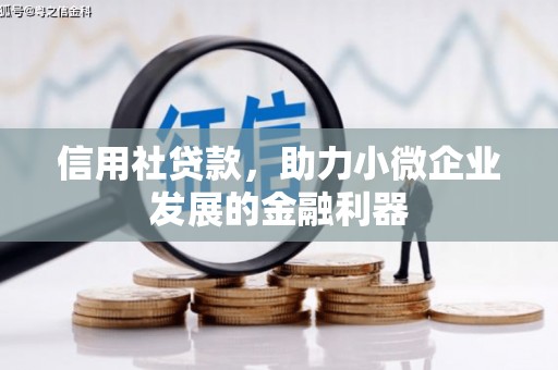 洪湖信用社贷款，助力小微企业发展的金融利器