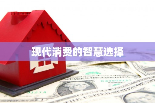 洪湖现代消费的智慧选择
