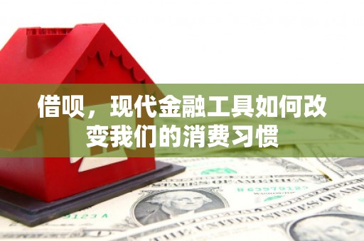 洪湖借呗，现代金融工具如何改变我们的消费习惯