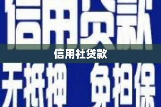 洪湖信用社贷款