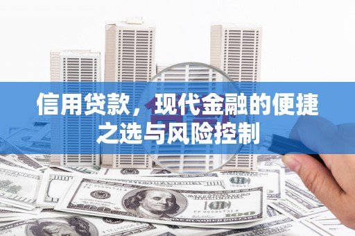 洪湖信用贷款，现代金融的便捷之选与风险控制