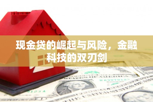 洪湖现金贷的崛起与风险，金融科技的双刃剑