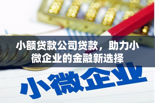 洪湖小额贷款公司贷款，助力小微企业的金融新选择