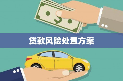 洪湖贷款风险处置方案