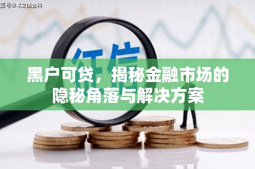洪湖黑户可贷，揭秘金融市场的隐秘角落与解决方案