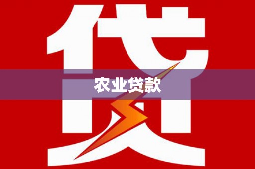 洪湖农业贷款