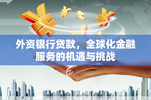 洪湖外资银行贷款，全球化金融服务的机遇与挑战