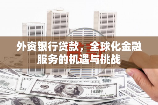 洪湖外资银行贷款，全球化金融服务的机遇与挑战