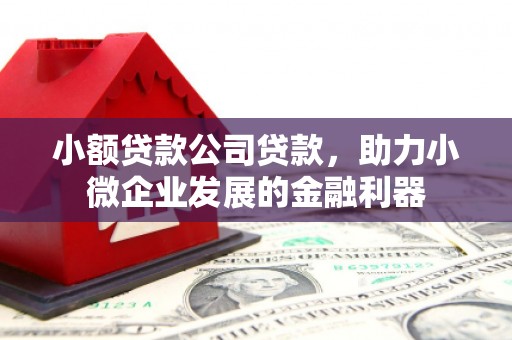 洪湖小额贷款公司贷款，助力小微企业发展的金融利器