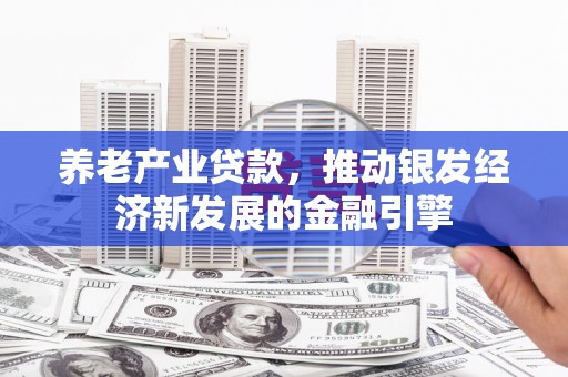 洪湖养老产业贷款，推动银发经济新发展的金融引擎