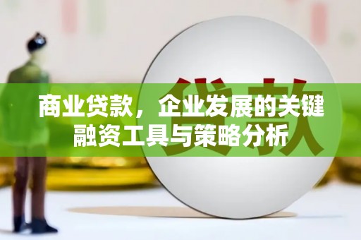 洪湖商业贷款，企业发展的关键融资工具与策略分析