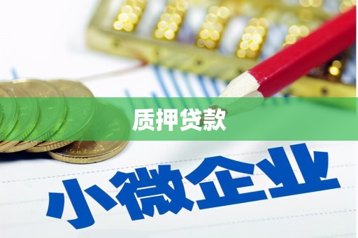 洪湖质押贷款