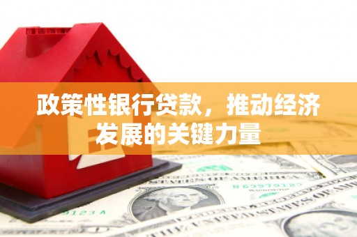 洪湖政策性银行贷款，推动经济发展的关键力量