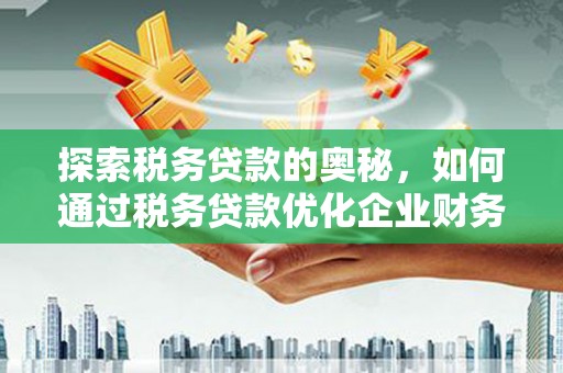 洪湖探索税务贷款的奥秘，如何通过税务贷款优化企业财务