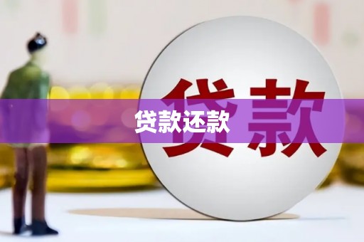 洪湖贷款还款
