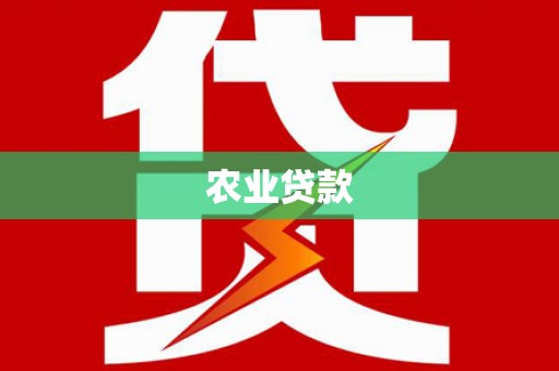 洪湖农业贷款