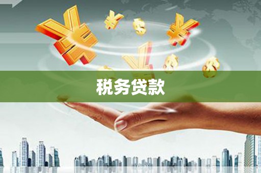洪湖税务贷款