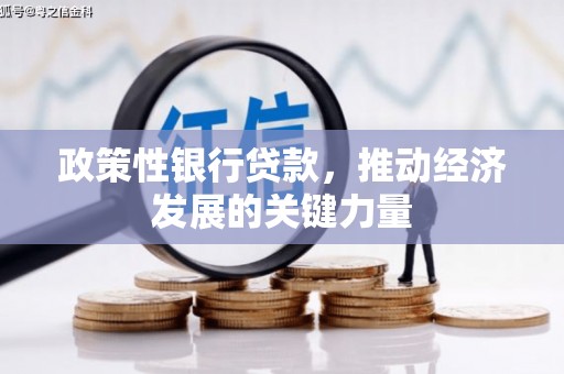 洪湖政策性银行贷款，推动经济发展的关键力量