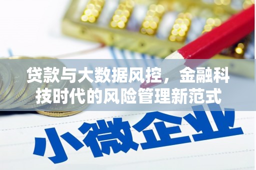 洪湖贷款与大数据风控，金融科技时代的风险管理新范式