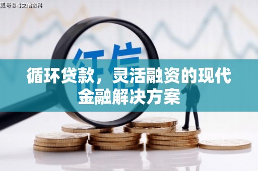 洪湖循环贷款，灵活融资的现代金融解决方案