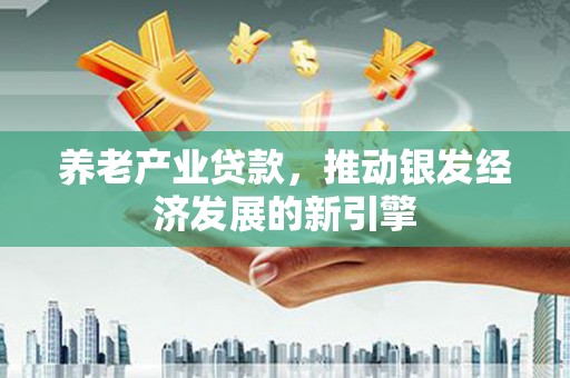 洪湖养老产业贷款，推动银发经济发展的新引擎