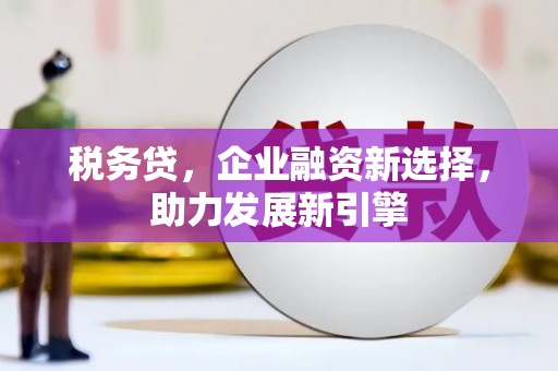 洪湖税务贷，企业融资新选择，助力发展新引擎