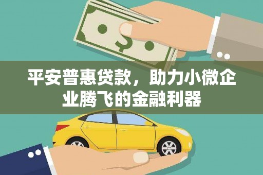 洪湖平安普惠贷款，助力小微企业腾飞的金融利器