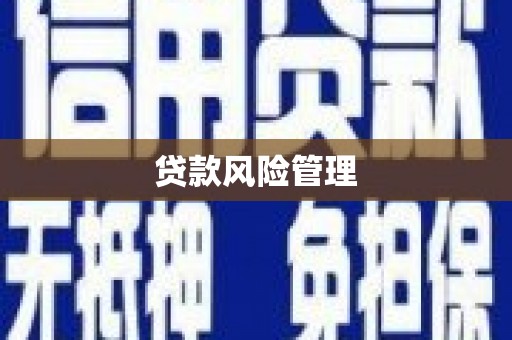 洪湖贷款风险管理