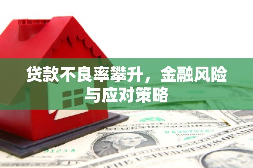 洪湖贷款不良率攀升，金融风险与应对策略