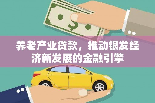 洪湖养老产业贷款，推动银发经济新发展的金融引擎