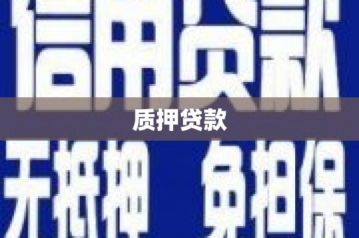 洪湖质押贷款