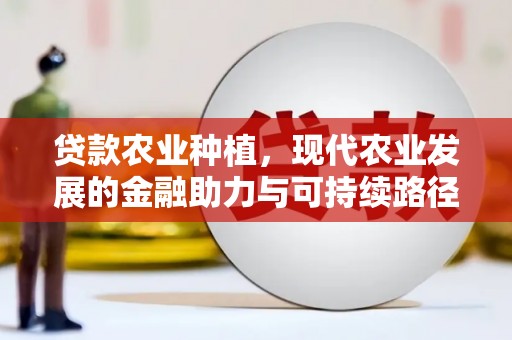 洪湖贷款农业种植，现代农业发展的金融助力与可持续路径