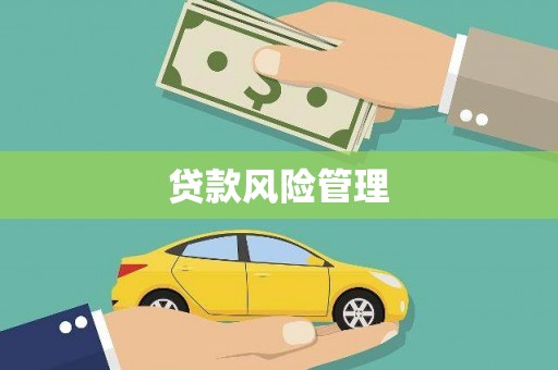 洪湖贷款风险管理