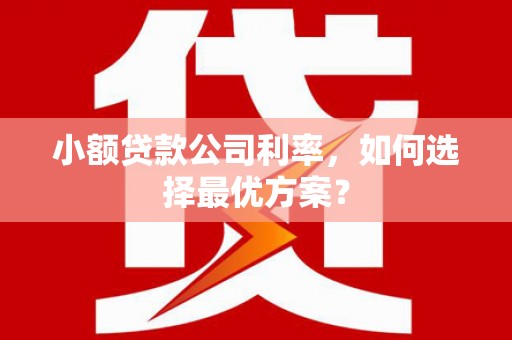 洪湖小额贷款公司利率，如何选择最优方案？