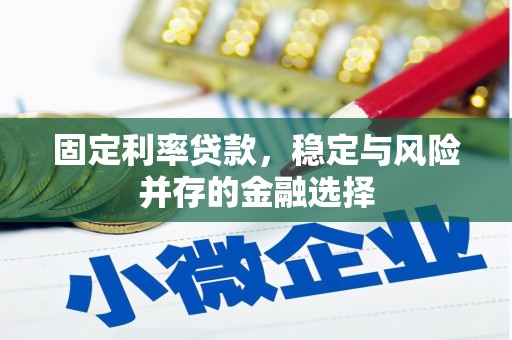 洪湖固定利率贷款，稳定与风险并存的金融选择