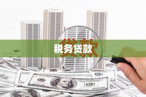 洪湖税务贷款