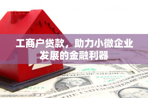 洪湖工商户贷款，助力小微企业发展的金融利器