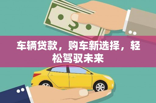 洪湖车辆贷款，购车新选择，轻松驾驭未来