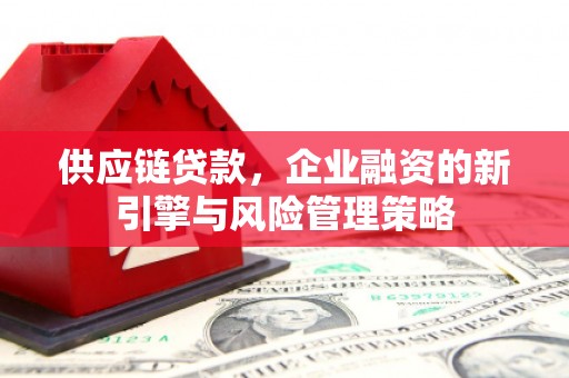 洪湖供应链贷款，企业融资的新引擎与风险管理策略