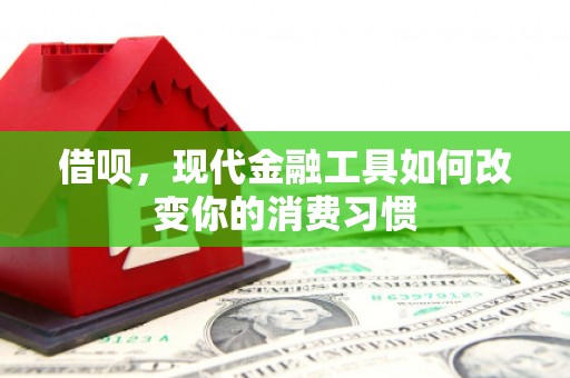 洪湖借呗，现代金融工具如何改变你的消费习惯