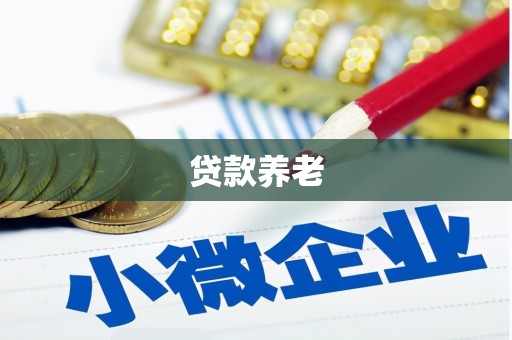 洪湖贷款养老