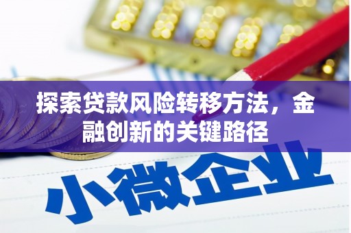 洪湖探索贷款风险转移方法，金融创新的关键路径