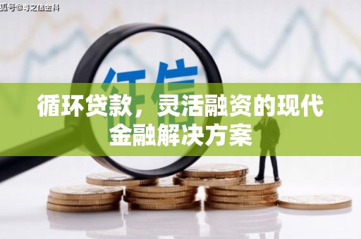 洪湖循环贷款，灵活融资的现代金融解决方案