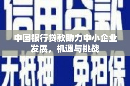 洪湖中国银行贷款助力中小企业发展，机遇与挑战