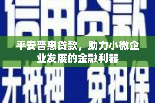 洪湖平安普惠贷款，助力小微企业发展的金融利器