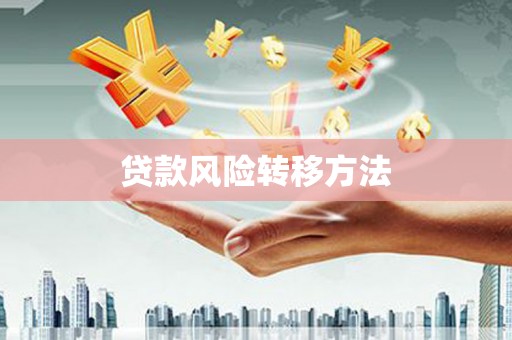 洪湖贷款风险转移方法