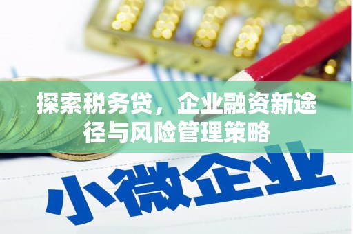 洪湖探索税务贷，企业融资新途径与风险管理策略